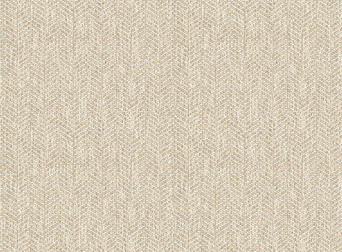 S51 Caverra 23937 Shoreline