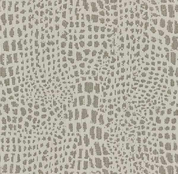 2147 Ayla 31027 Ivory