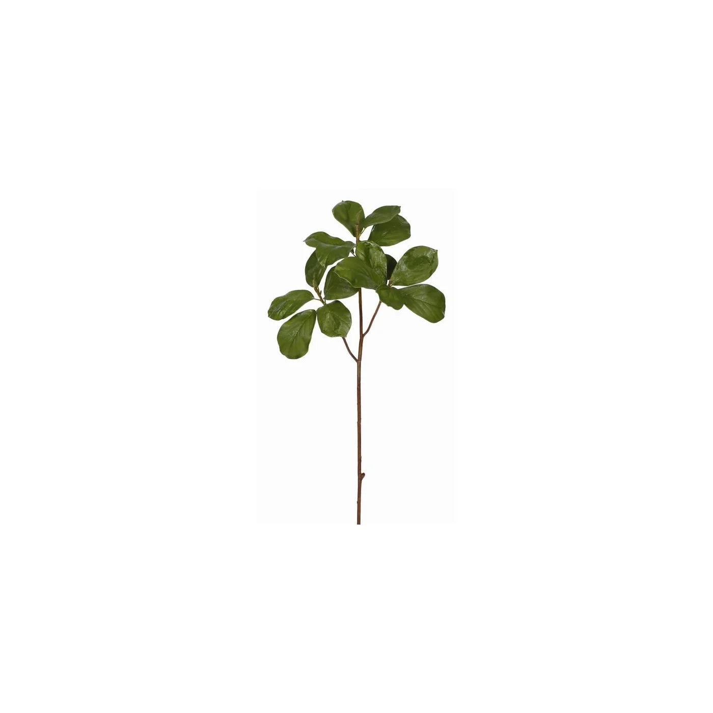 Leaf Tree Magnolia Branch 28"