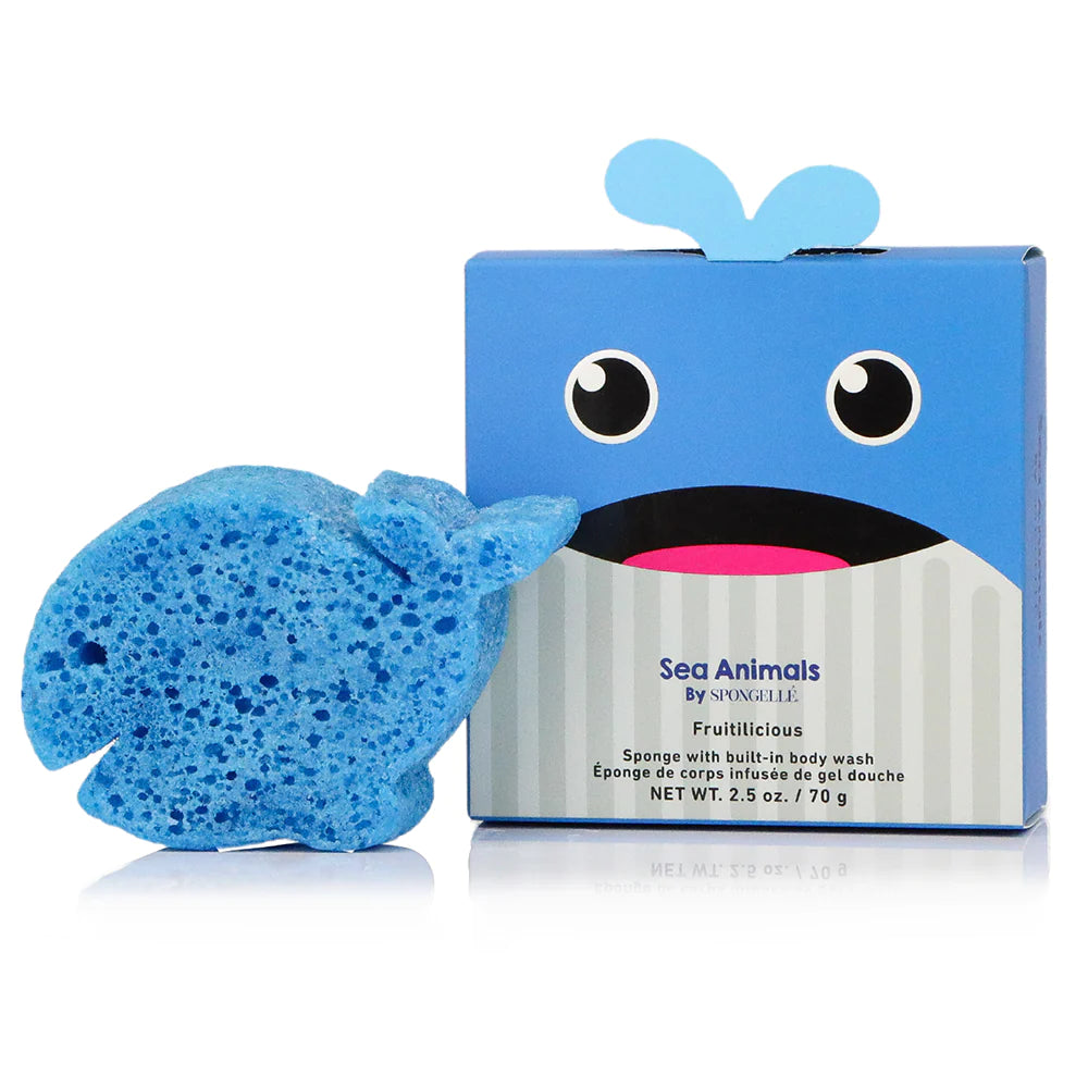 Sponge Animal Collection