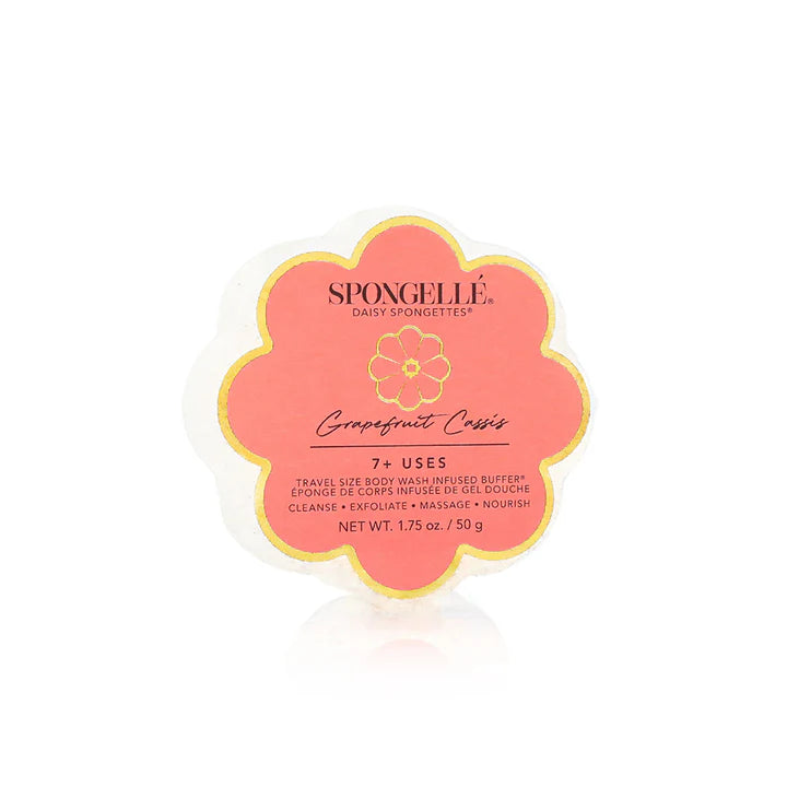 Daisy Collection Spongettes