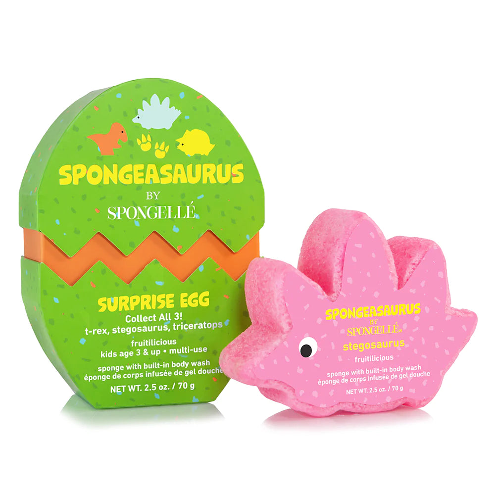 Sponge Animal Collection
