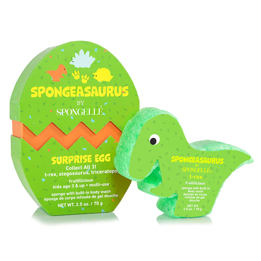 Sponge Animal Collection