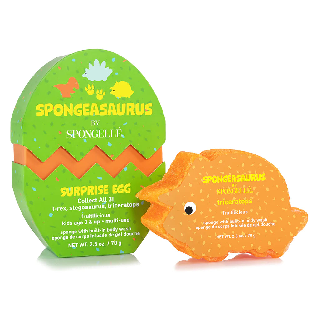 Sponge Animal Collection