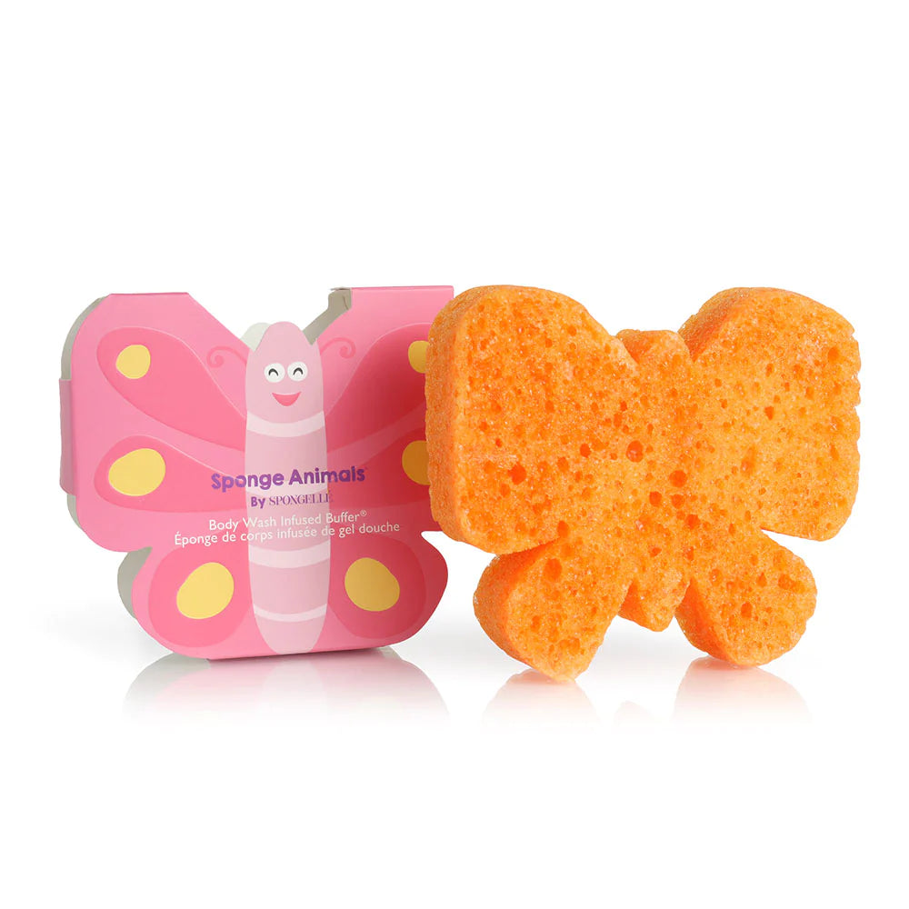Sponge Animal Collection