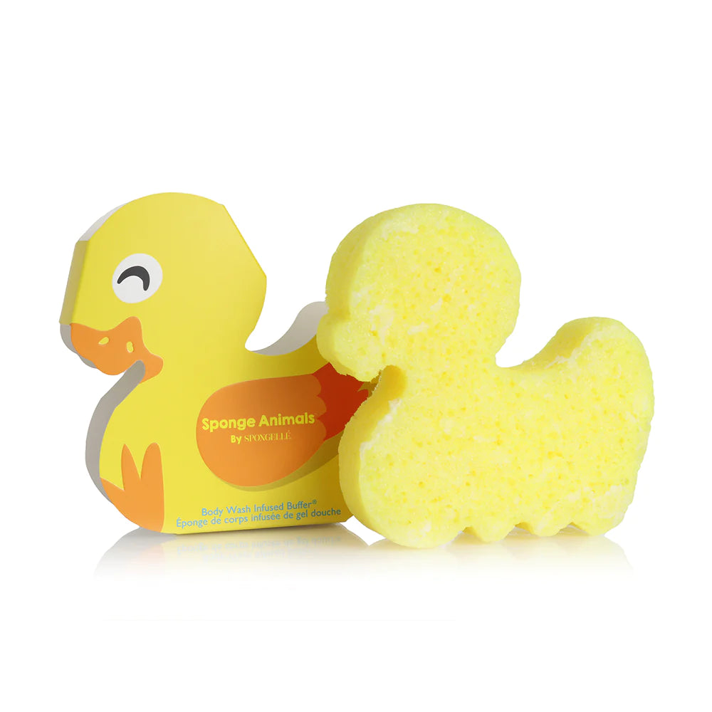 Sponge Animal Collection