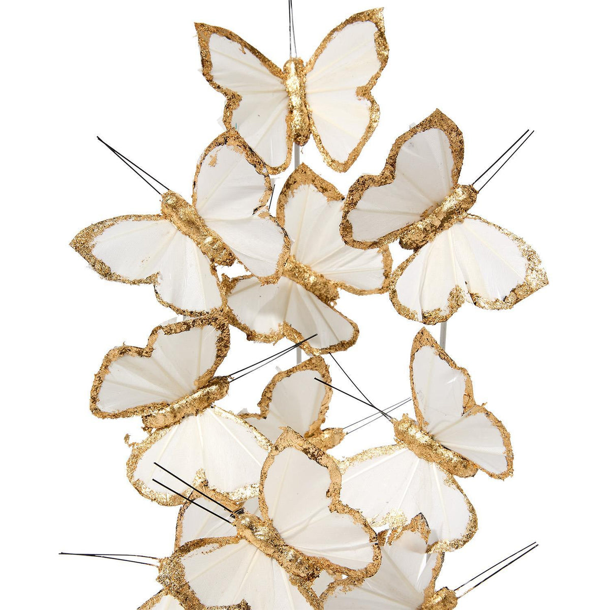 Gold & White Butterflies in Round Dome