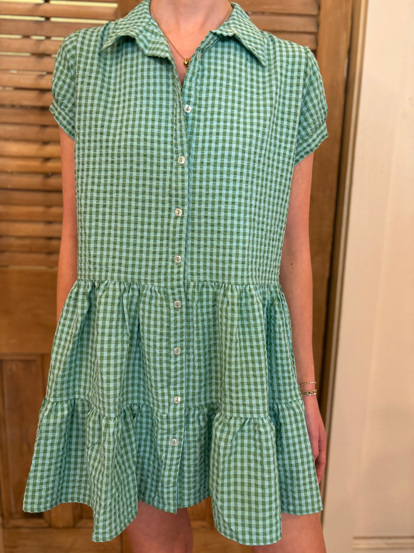 Brie Dress Cotton Gingham Green & Sea