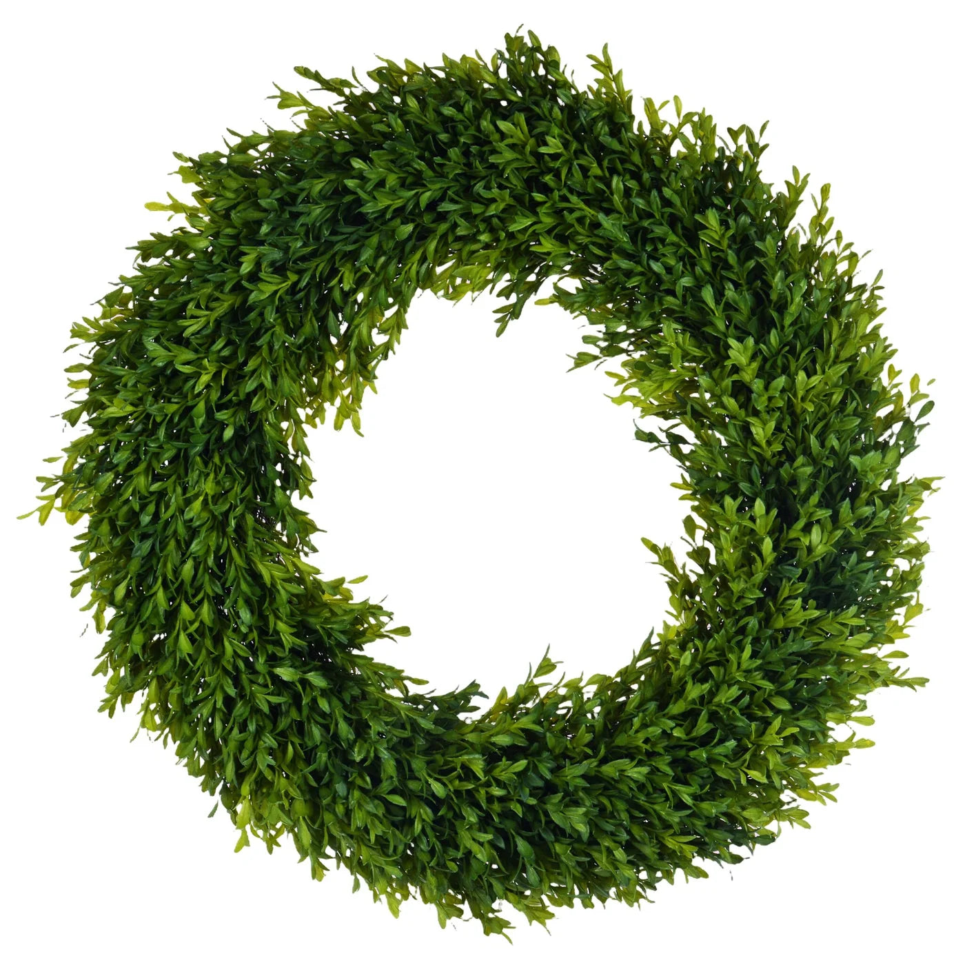 Boxwood 24" Round Wreath