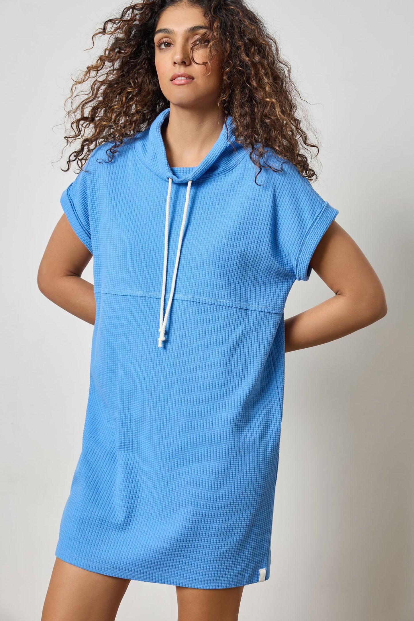 Roll Sleeve Seamed Dress Bluejay