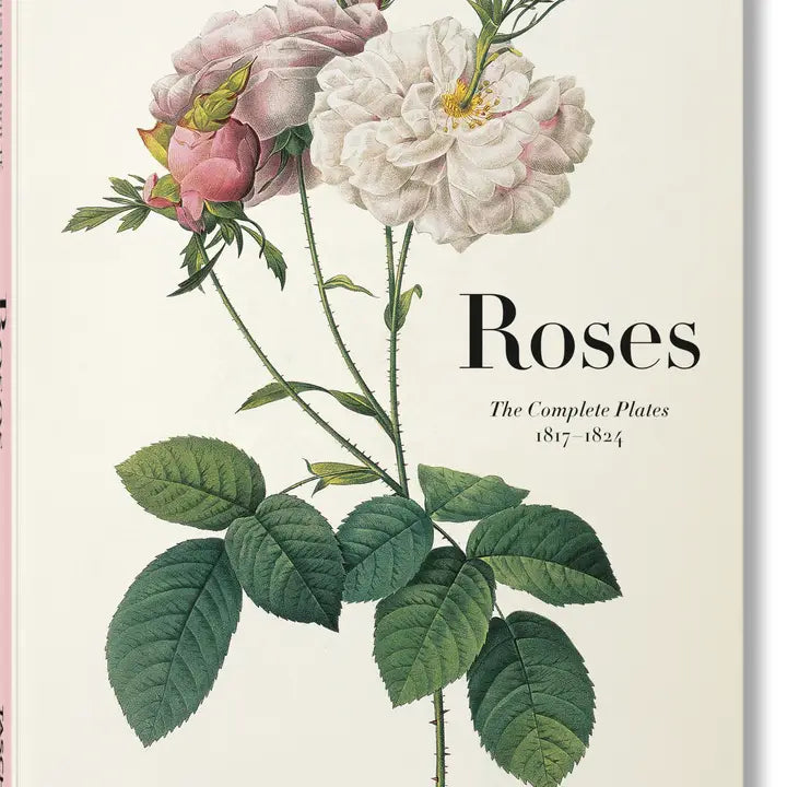 Redouté. Roses