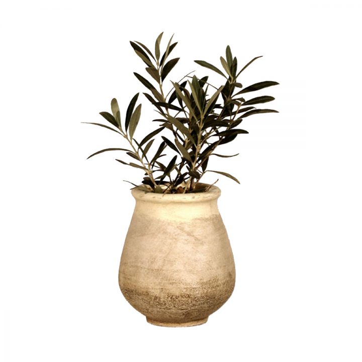 Mini Oil Jar 6.5" Provence Creme