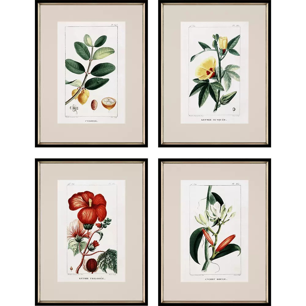 Tropical Botanical II