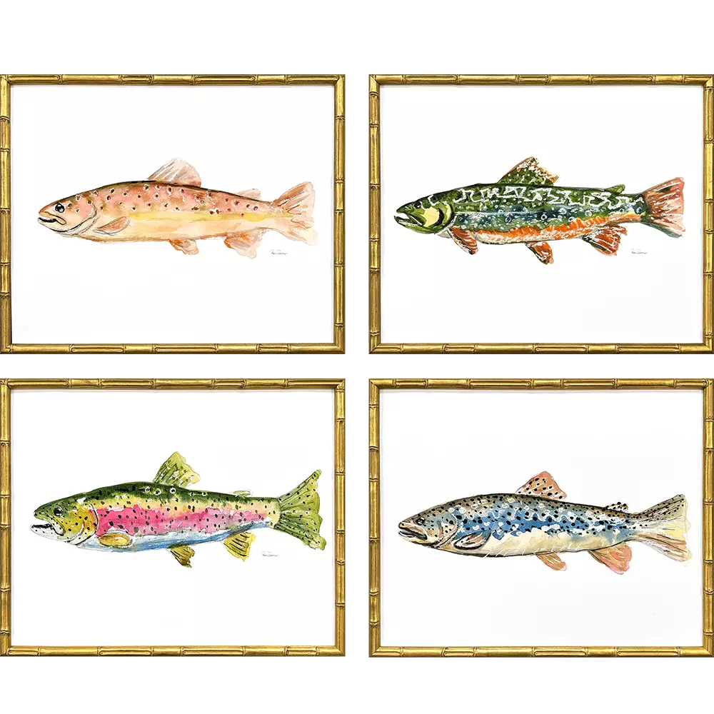 Colorful Trout
