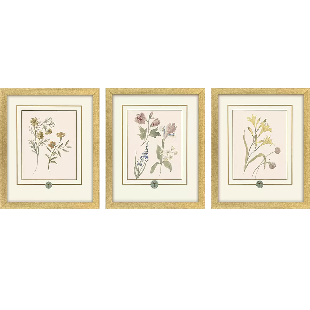 Garden Study II
