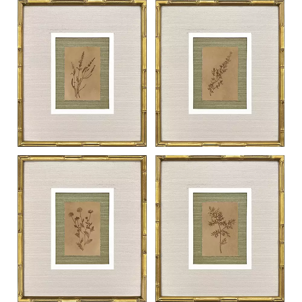 Organic Botanical I