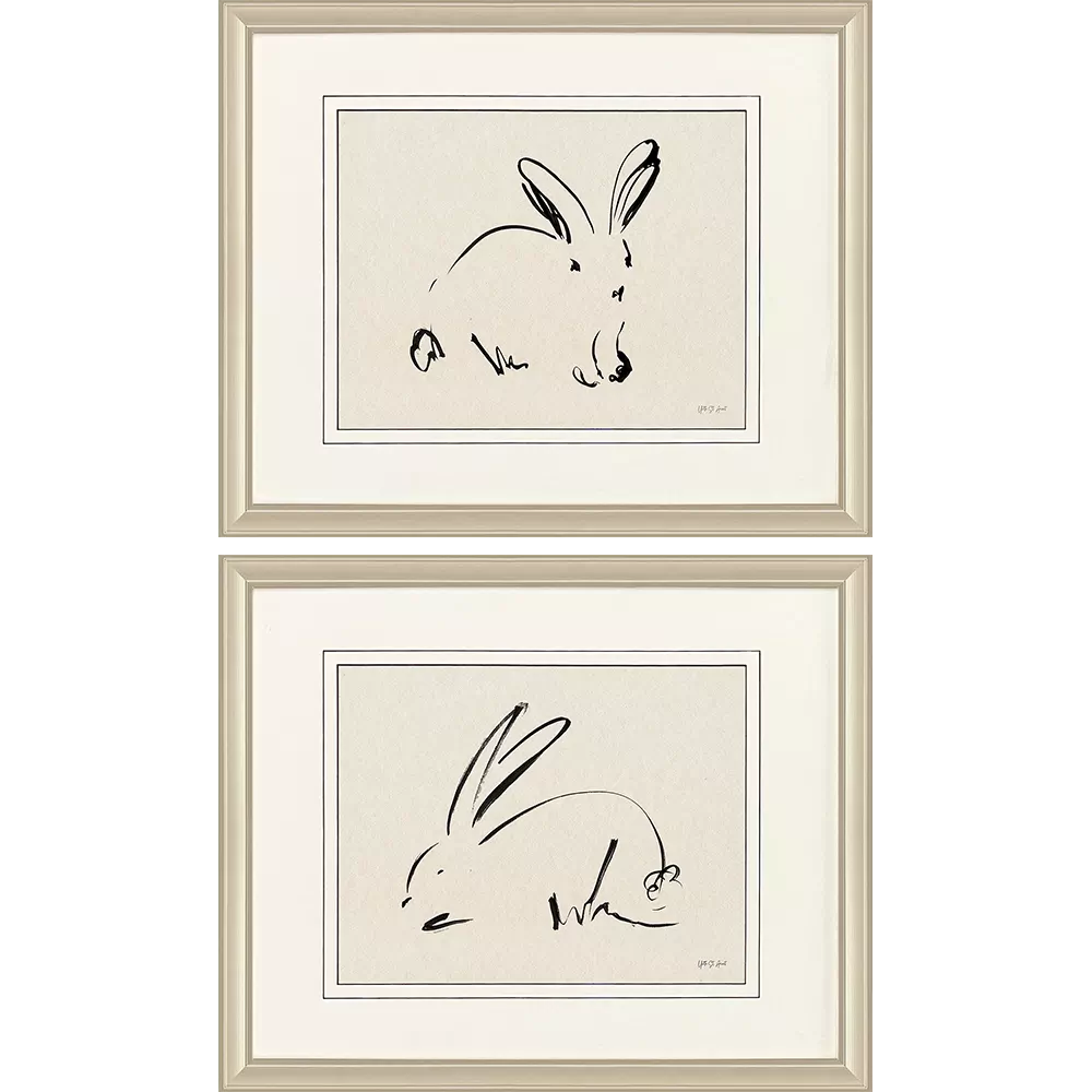 Illustrative Bunny