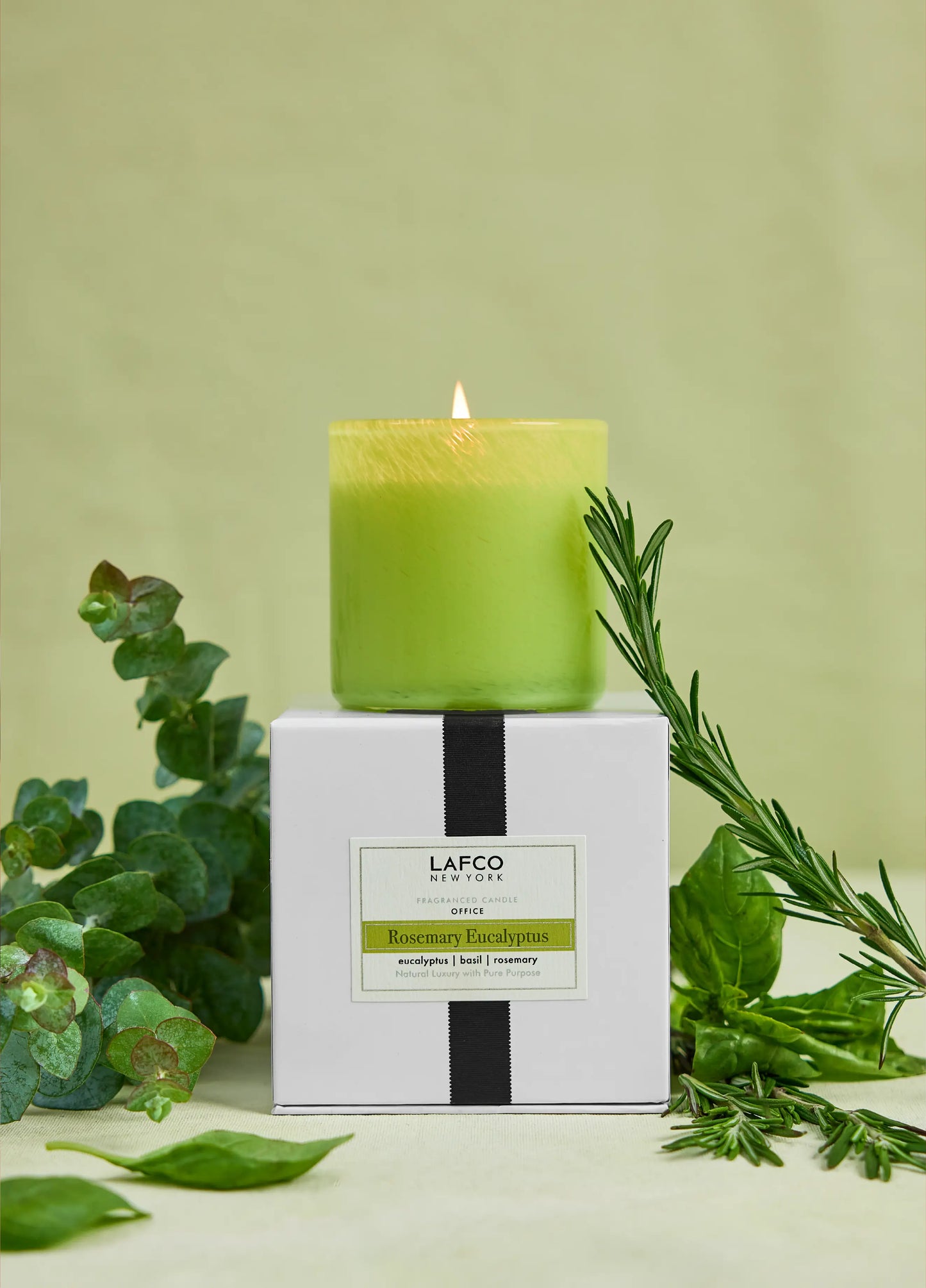 Saffron Sandalwood 6.5oz Candle