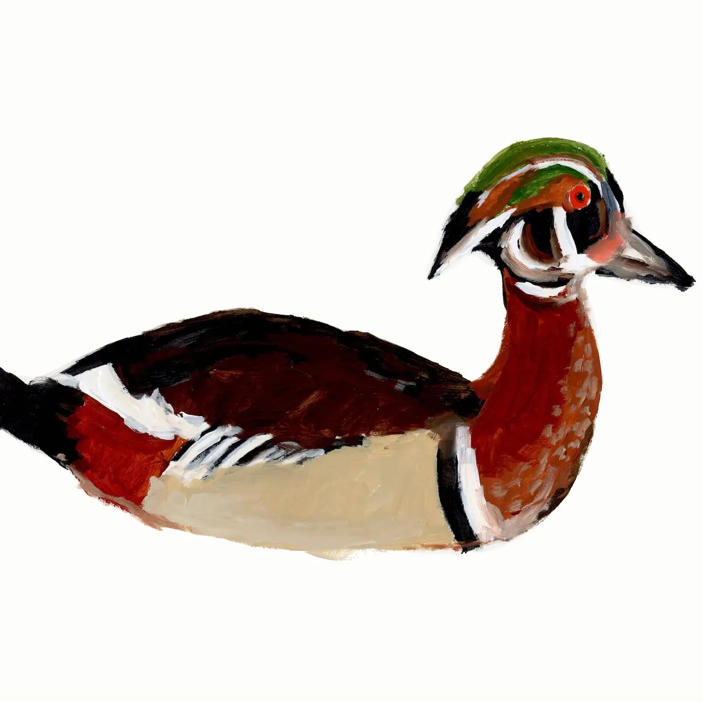 Framed Duck 2 Print 15.5" x 13.5"