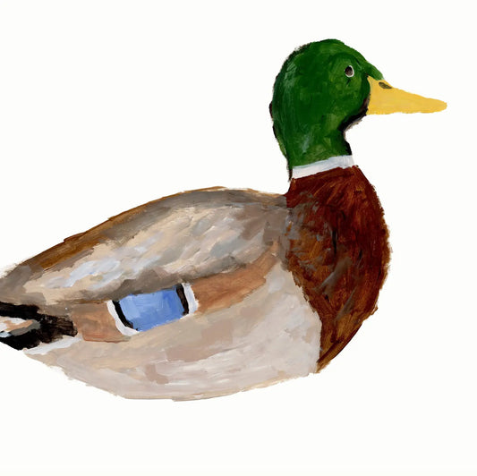Framed Duck 3 Print 15.5" x 13.5"