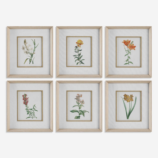 Classic Botanicals Framed Prints