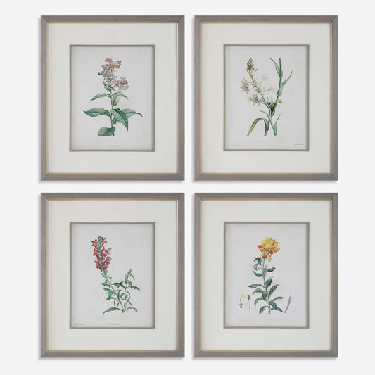 Heirloom Bloomed Study Framed Prints