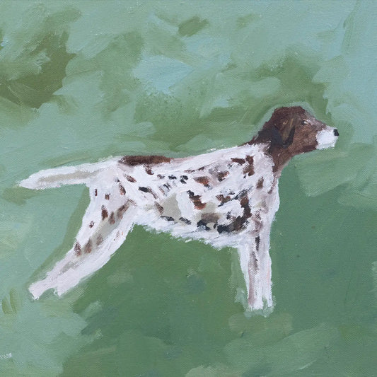 Framed Setter Print 15.5" x 13.5"