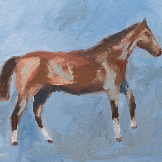 Framed Brown Horse Print 15.5" x 13.5"
