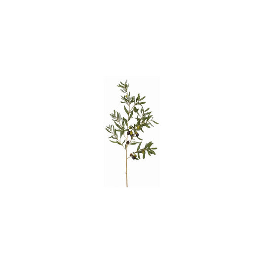 Olive Leaf 46"