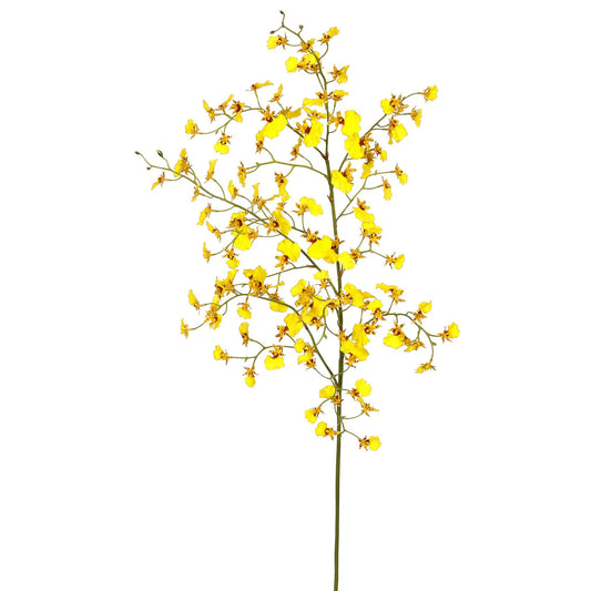 Orchid Dancing Oncidium 40"