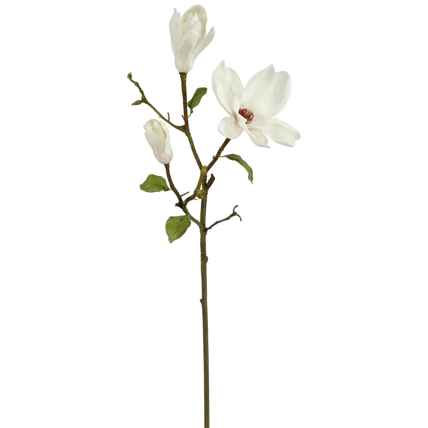Tree Magnolia Spray 34"