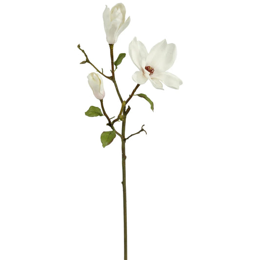 Tree Magnolia Spray 34"