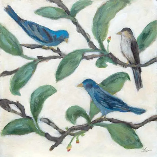 Audubon's Indigo: Aquarius 24X24