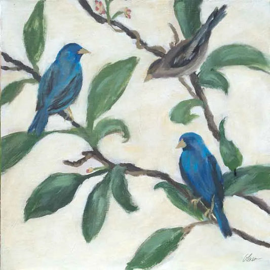 Audubon's Indigo: Virgo 24X24