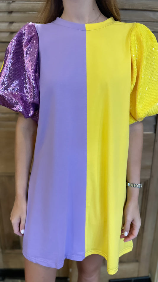 Colorblock Sequin Sleeve Dress