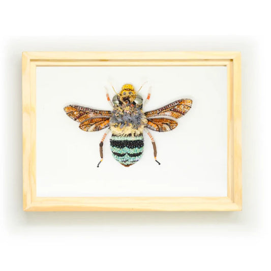 Blue Banded Bee Beaded Art