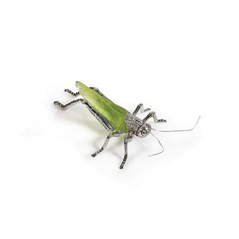 Decorative Green Grasshopper