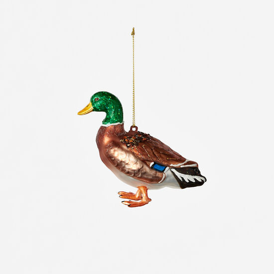 Mallard Orn
