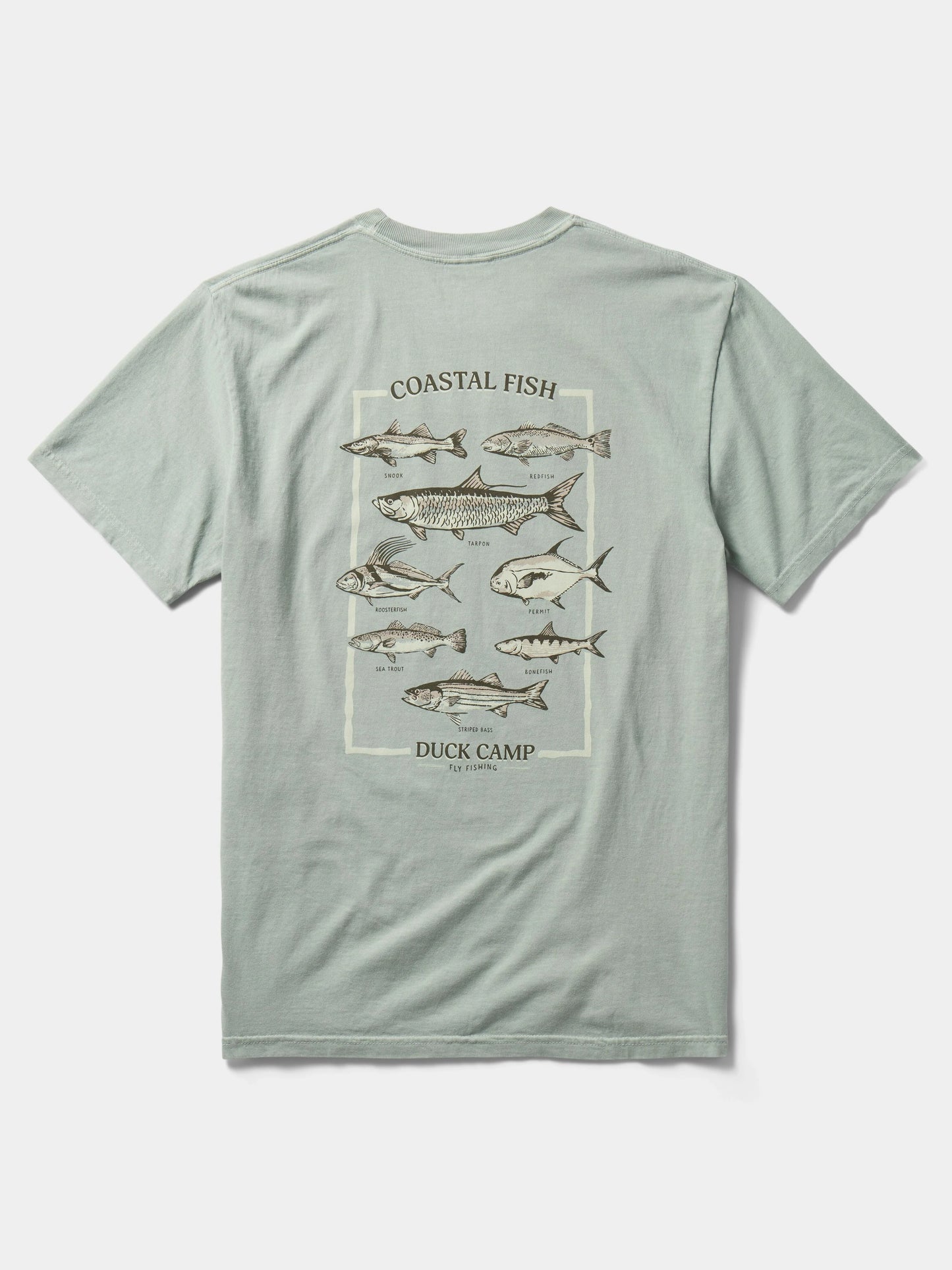 Fish of the Coast Tee Bay