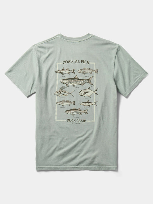 Fish of the Coast Tee Bay