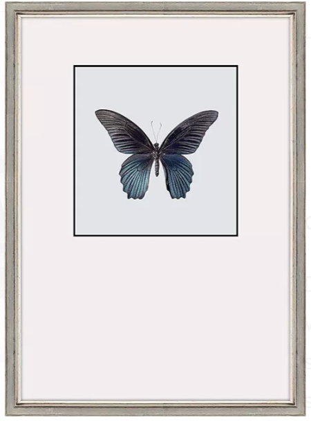 Great Butterfly II