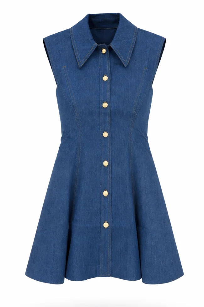 Albie Denim Dress