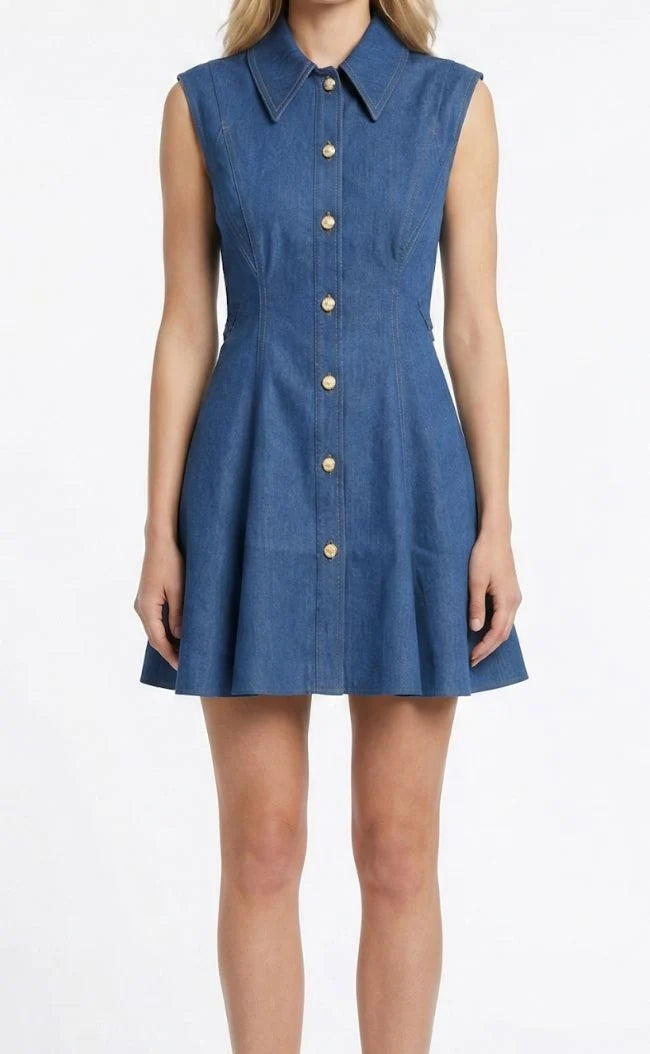 Albie Denim Dress