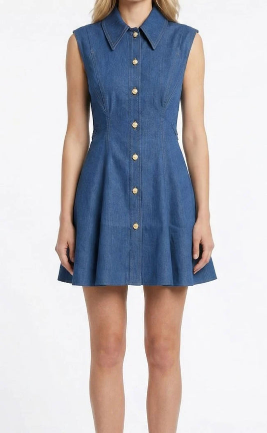 Albie Denim Dress