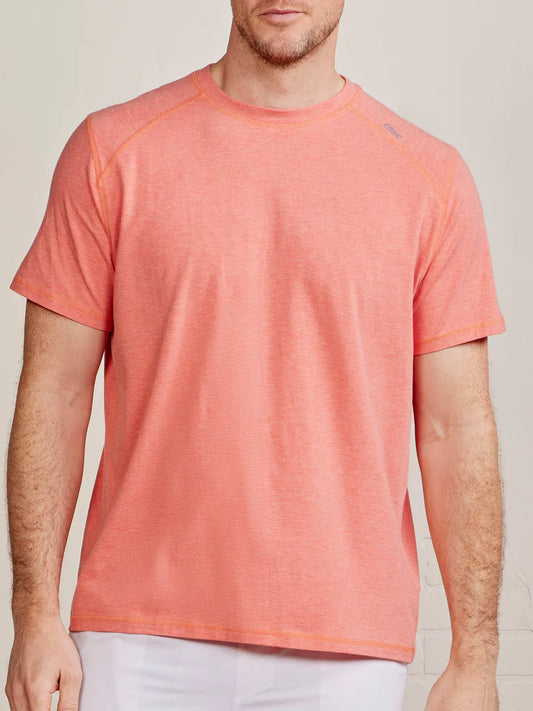 Carrollton T Hibiscus Heather