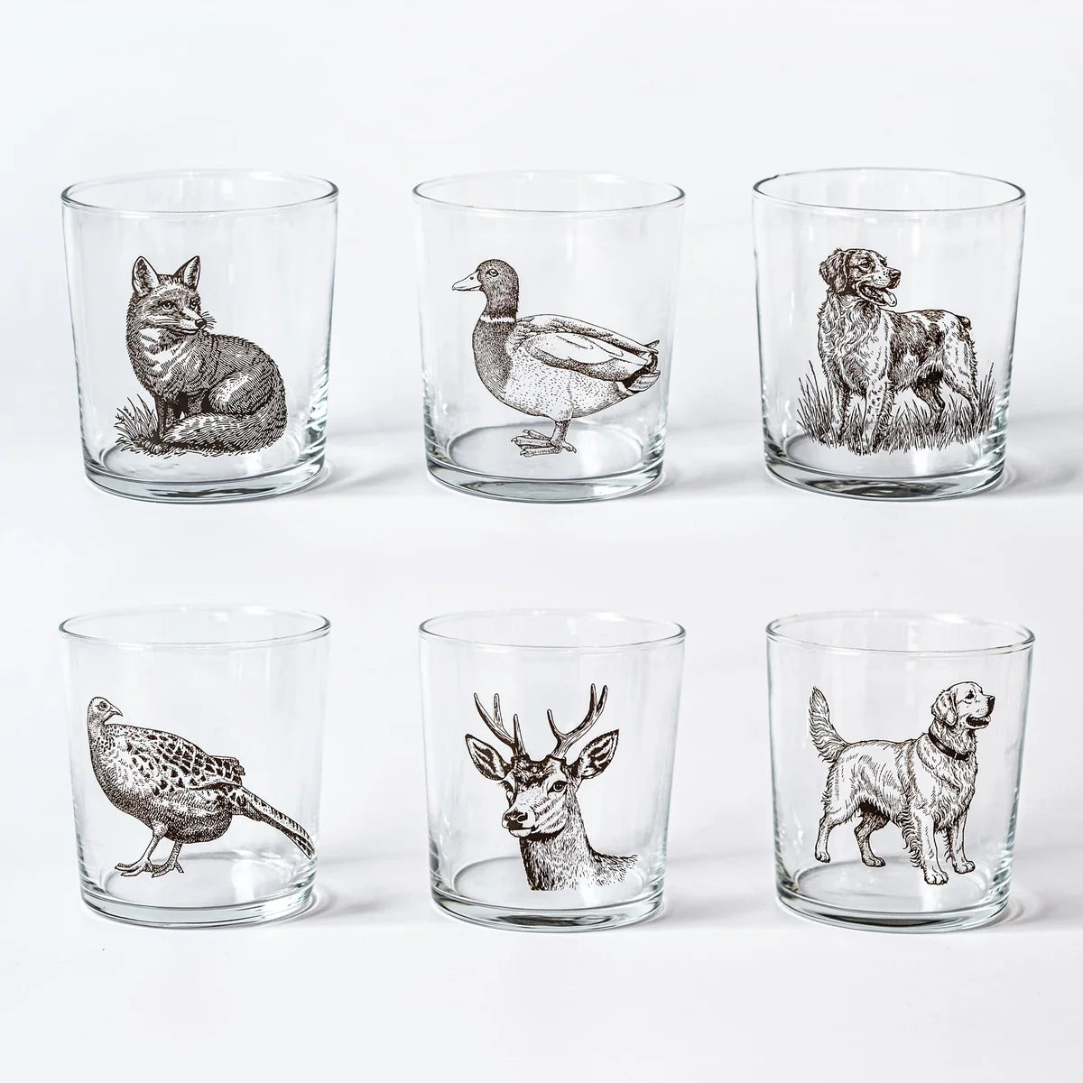 Wildlife Assorted Tumblers