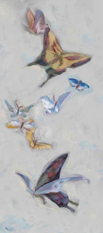 BUTTERFLIES WEST WIND 16X36