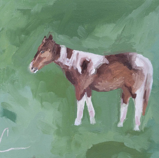 Framed Brown Spotted Horse Print 15.5" x 13.5"