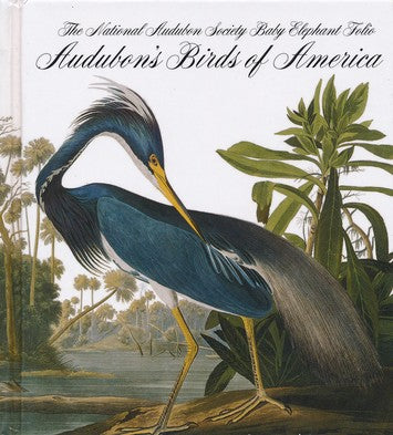 Audubon's Birds of America Mini Book