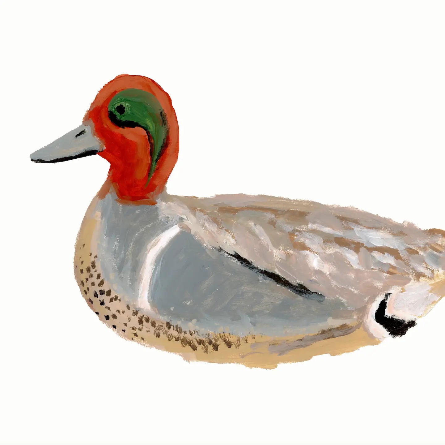 Framed Duck 1 Print 15.5" x 13.5"